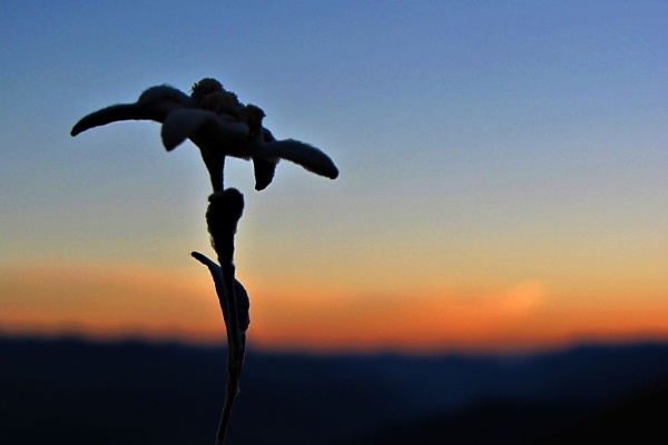 Wandernacht im Rätikon