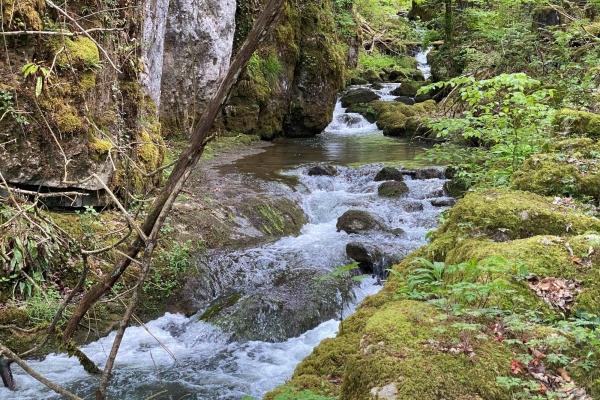 Vom Wappenfelsen ins prähistorische Chaltbrunnental