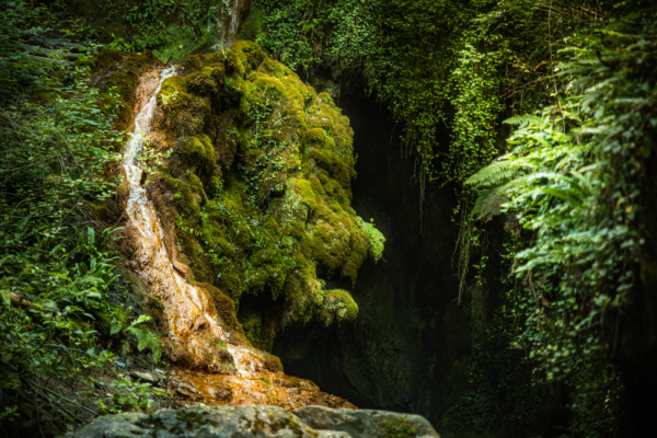 Randonnée féérique vers la tête du géant