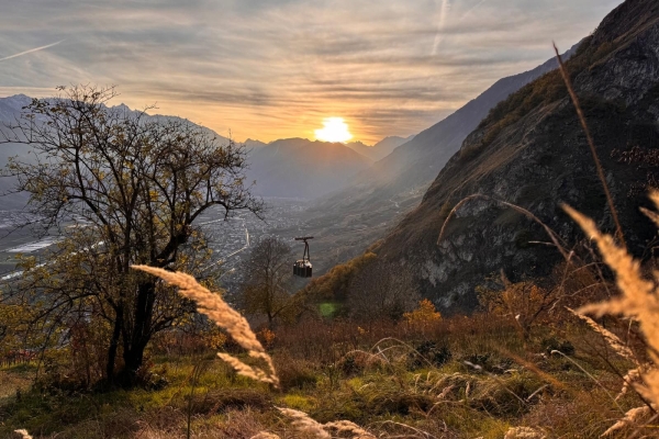 Entdecke die Weinberge aus der Vogelperspektive