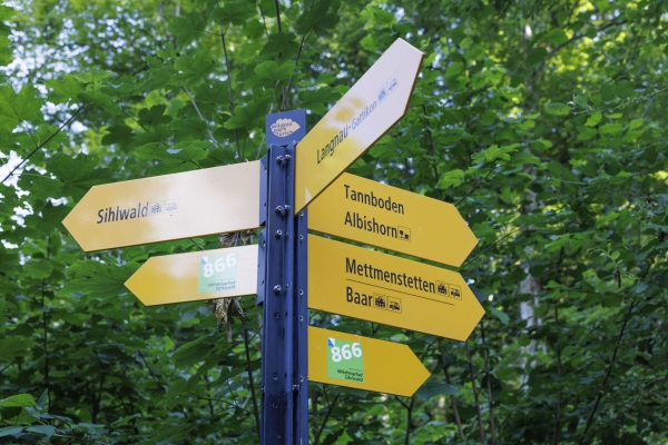 Durch den Sihlwald zum Langenberg