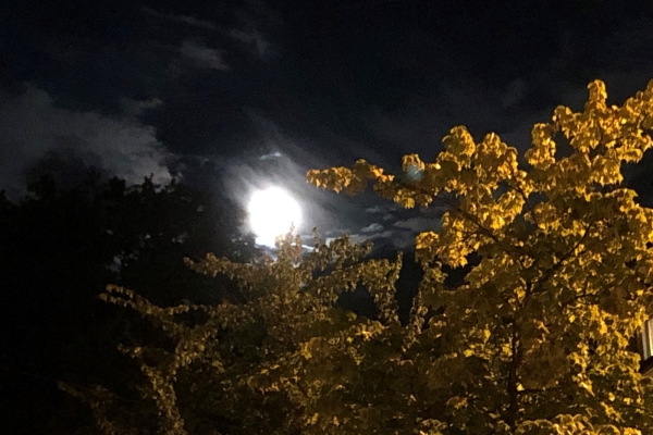 Nachtwanderung durchs Säuliamt