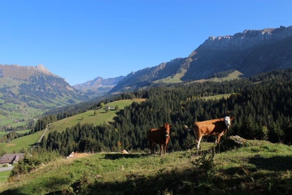 Wandernacht Schangnau - Abendwanderung mit Panoramasicht