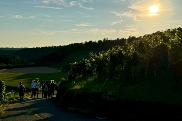 Weinwandernacht im Zürcher Weinland
