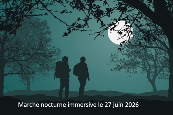 Marche immersive sous la lune