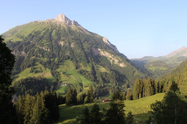 Am Ende der Welt - Schutzwald und Wildparadies