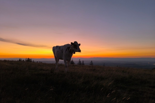 Les 12 heures de randonnée nocturne