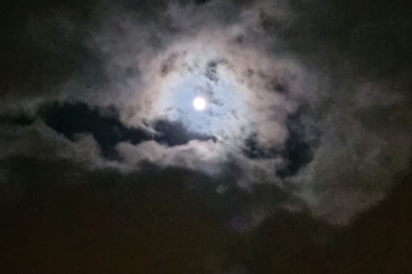 Von der Klosterkirche über die Seeidylle zu den Steinreihen