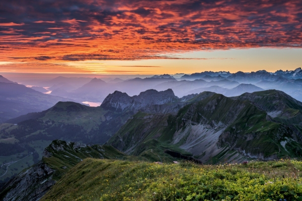 Brienzer Rothorn | Abendwanderung mit den Steinböcken