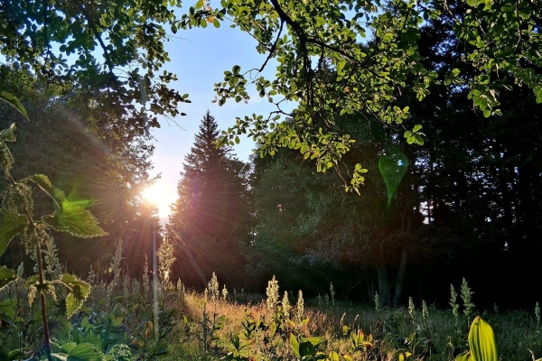 A la lisière entre mondes "civilisé" et "sauvage"