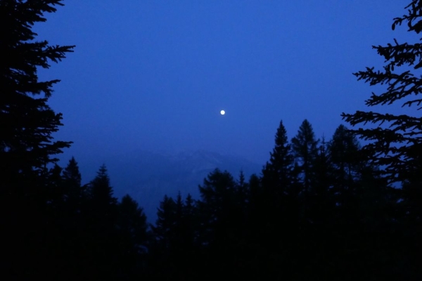 Marche immersive sous la lune